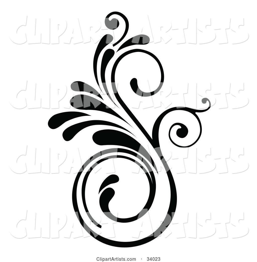Curly S Shaped Scroll In Black And White Clipart by OnFocusMedia