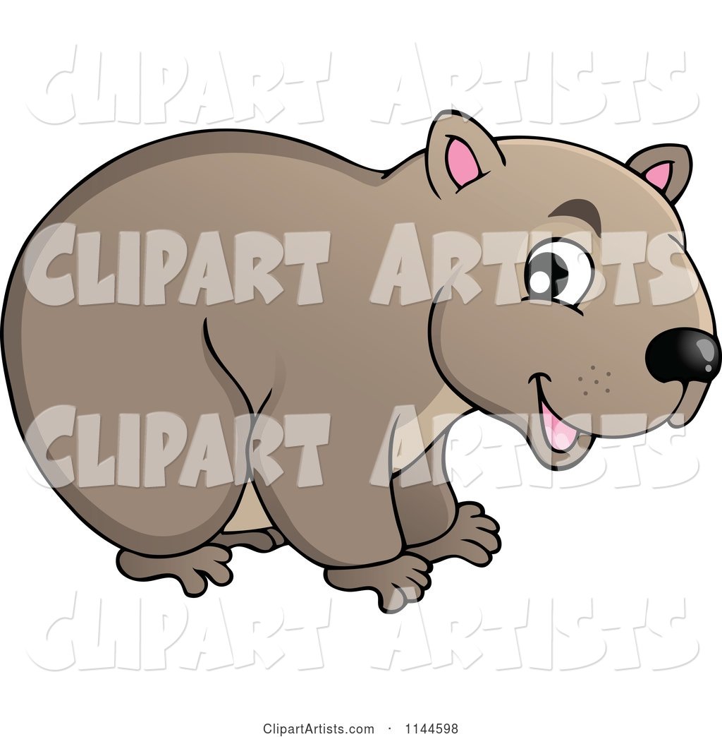 Cute Aussie Wombat