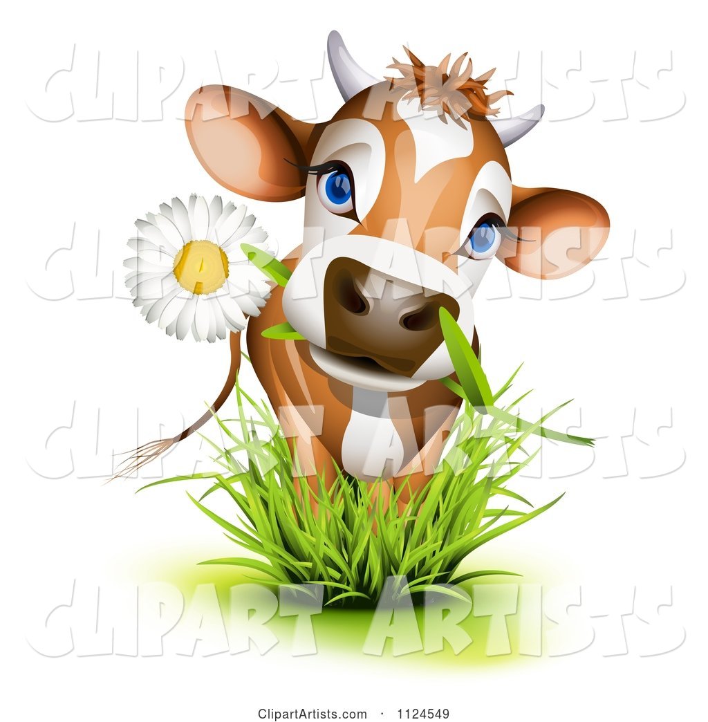 Cute Jersey Cow with a Daisy in Its Mouth Standing in Grass