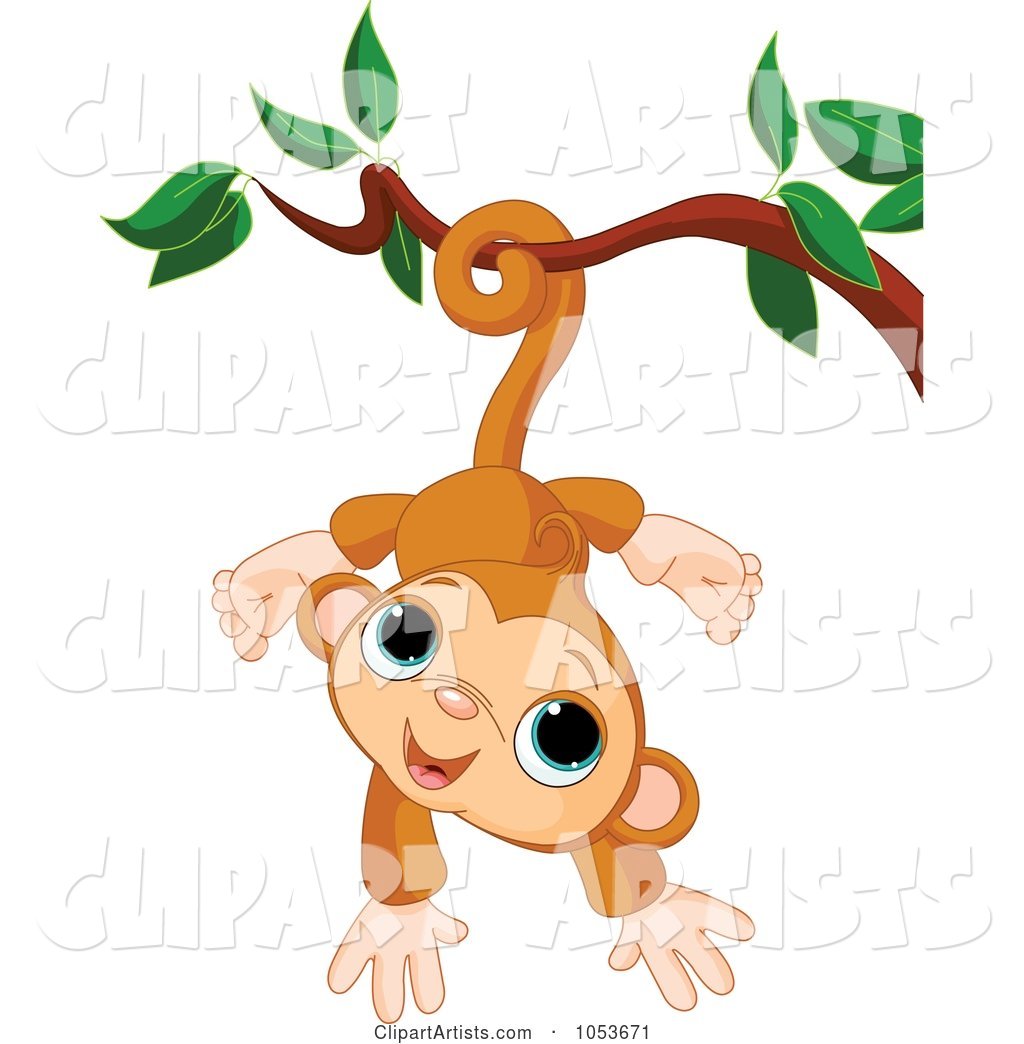 Cute Monkey Hanging from a Branch