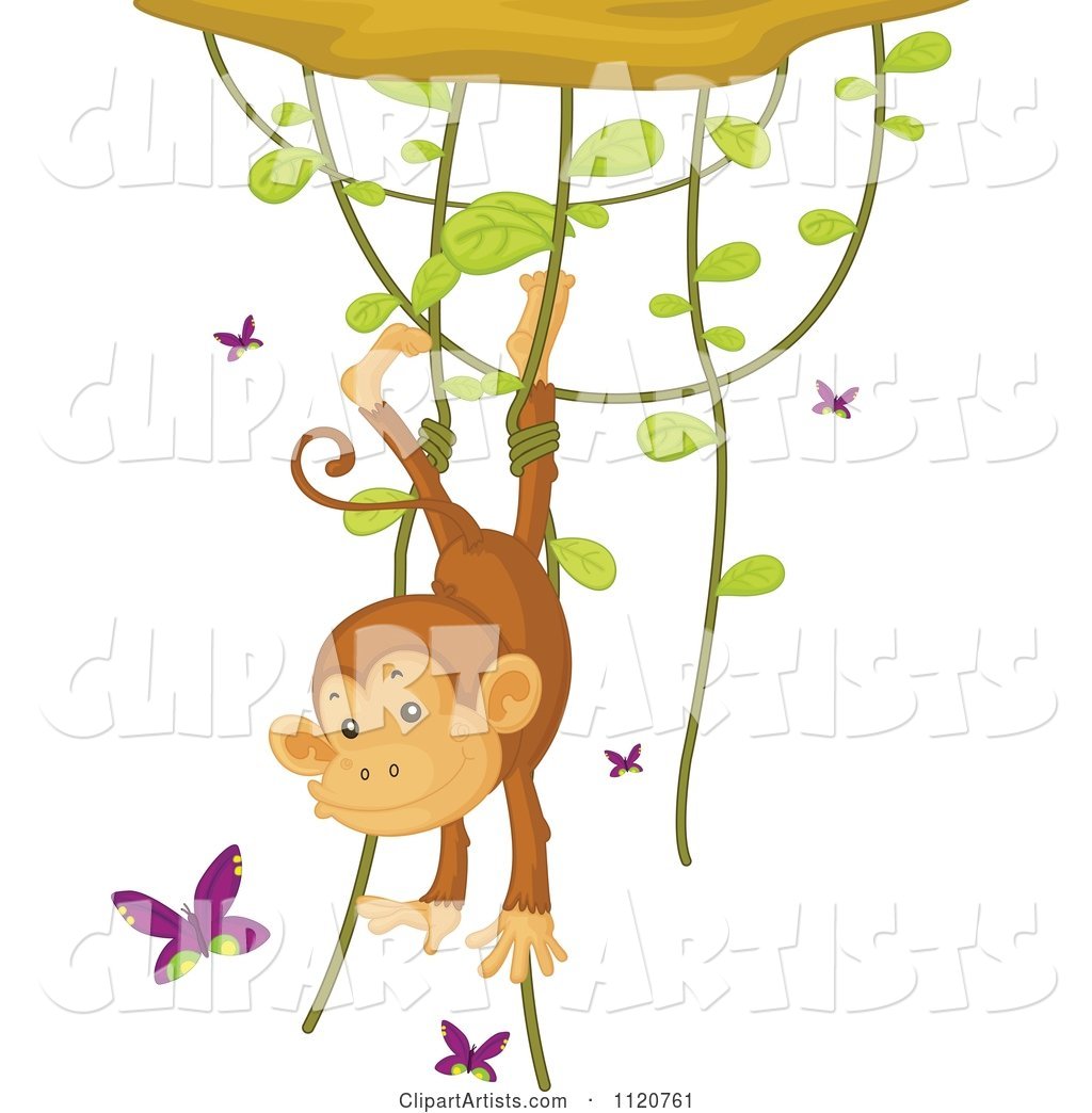 Cute Monkey Hanging from a Vine and Playing with Butterflies