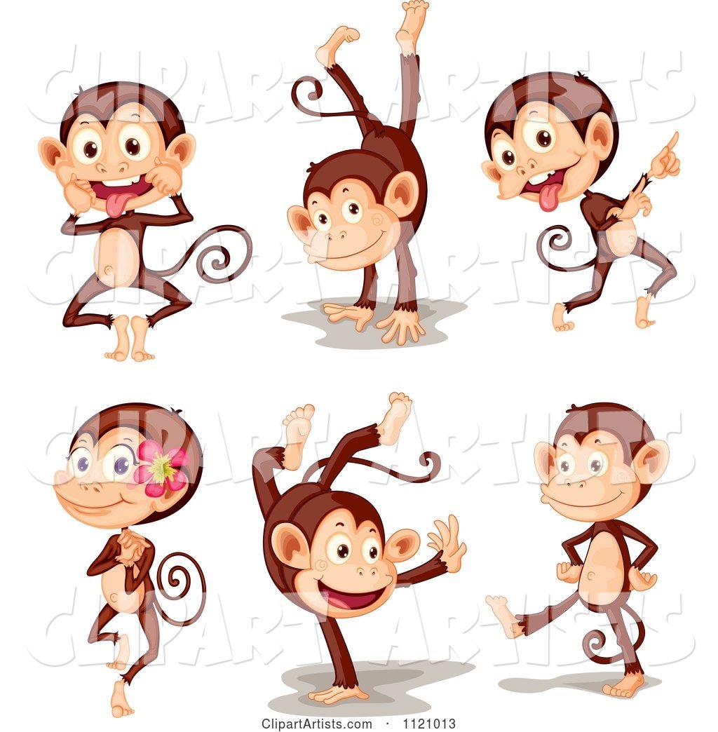 Cute Monkeys in Different Poses