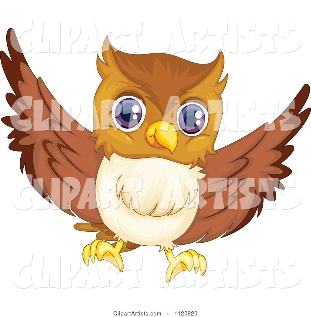 Cute Owl Flying 4