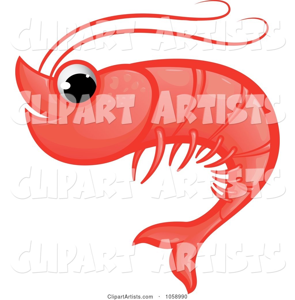 Cute Red Shrimp