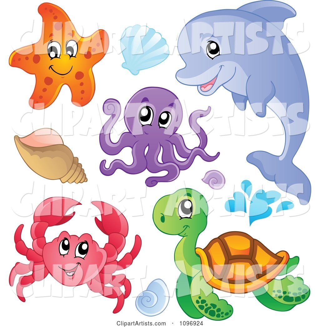 Cute Starfish Dolphin Octopus Crab Sea Turtle and Shells