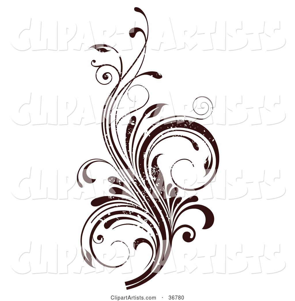 Dark Brown Grunge Textured Curly Vine Scroll Design Element