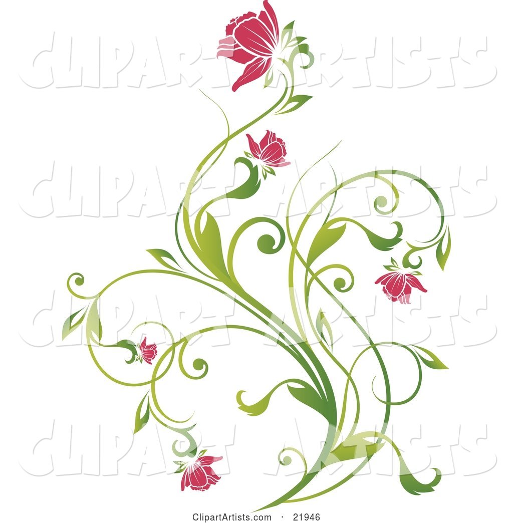 Delicate Green Plant with Pink Blooming Flowers on a White Background