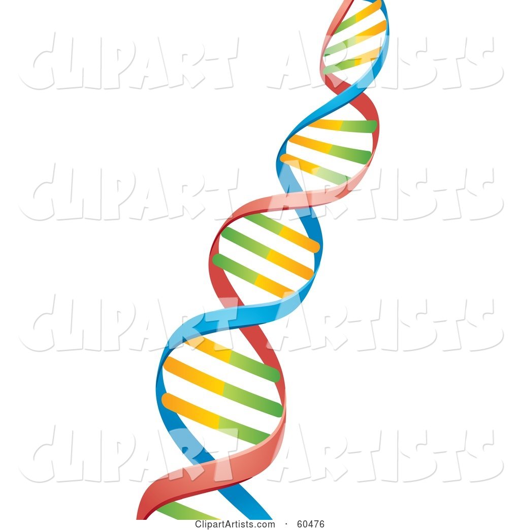 Diagonal Colorful Strand of DNA