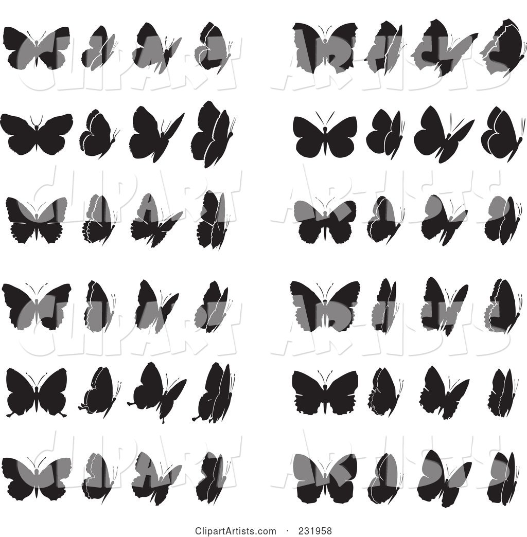 Digital Collage of Black and White Butterflies - 1