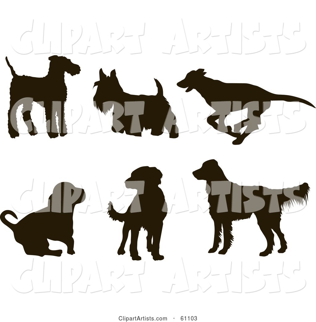 Digital Collage of Six Dark Brown Dog Silhouettes; Terriers, Greyhound, Hound, Labrador, Golden Retriever