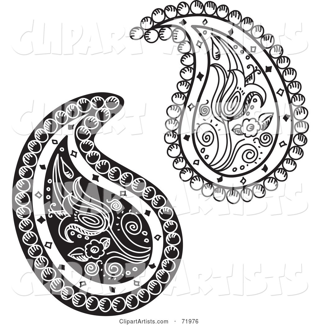 Digital Collage of Two Black and White Floral Paisley Designs