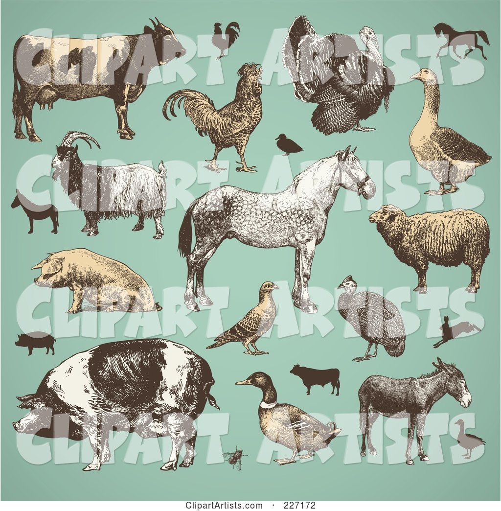 Digital Collage of Vintage Farm Animals and Livestock on Turquoise