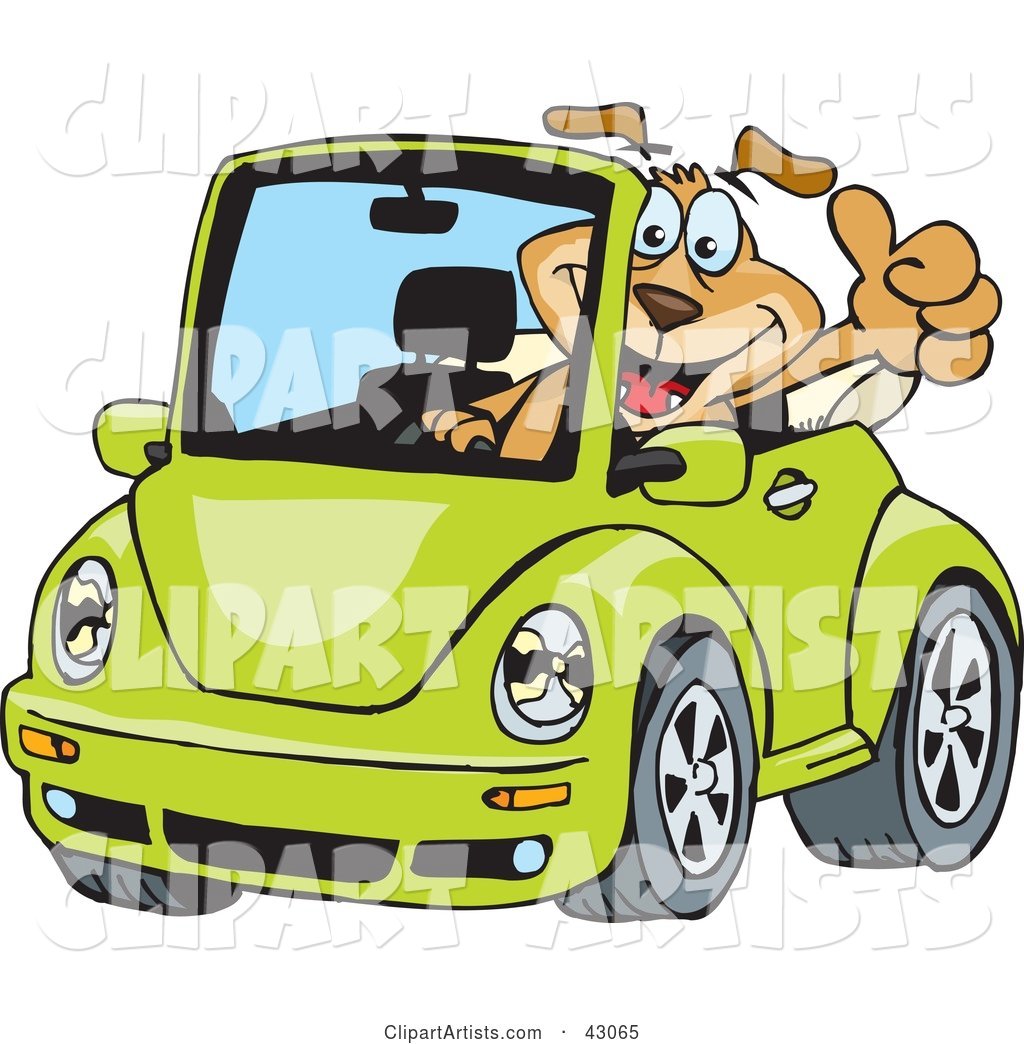 Dog Driving a Green Slug Bug Convertible and Giving the Thumbs up