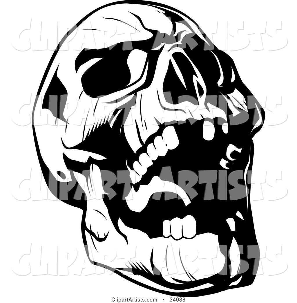 Evil Skull Tilting Its Head Back and Laughing