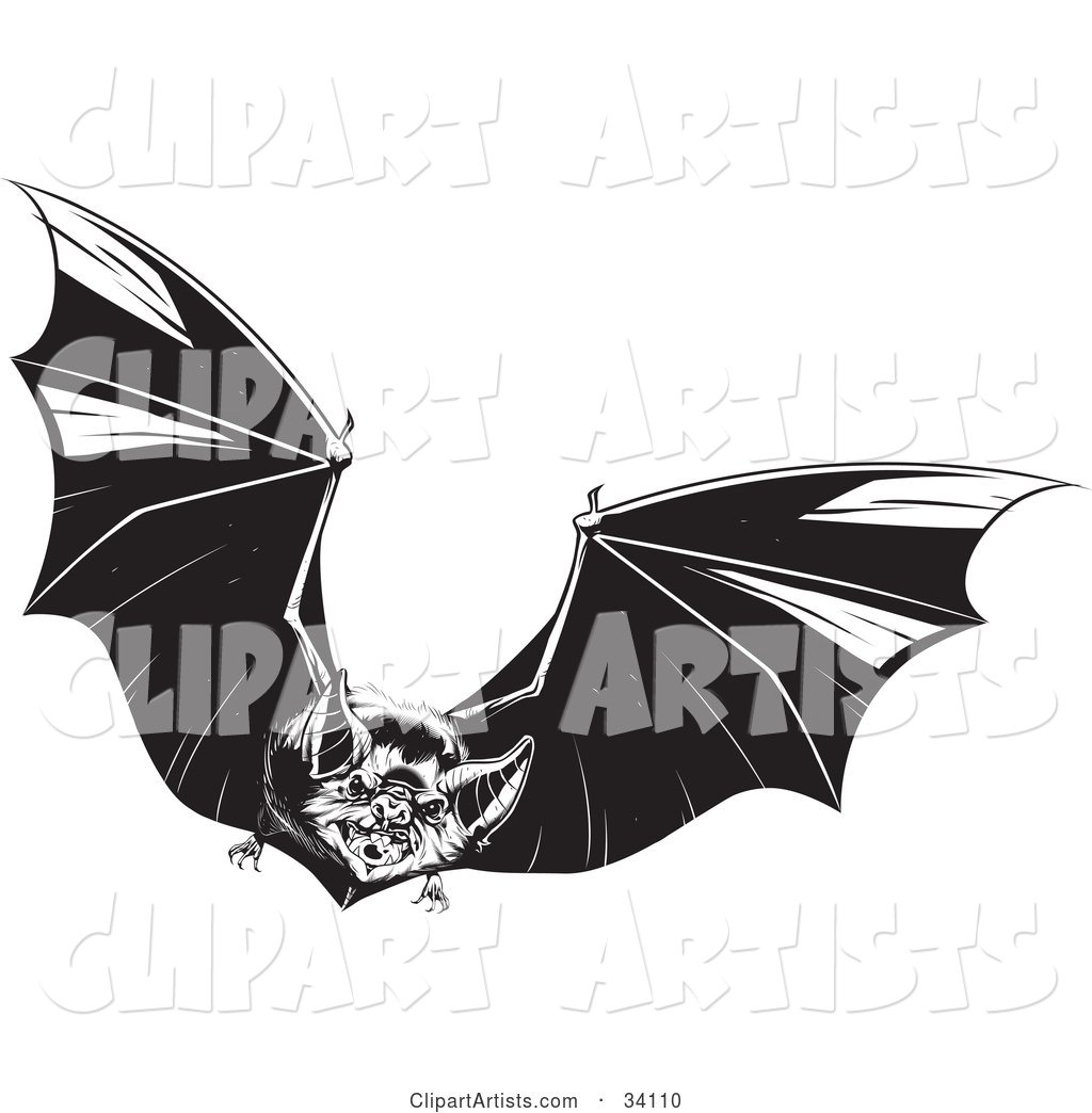 Evil Vampire Bat in Flight, Flapping Its Wings and Flying Forward