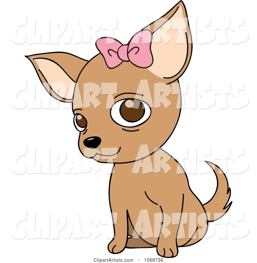 Female Chihuahua with a Bow