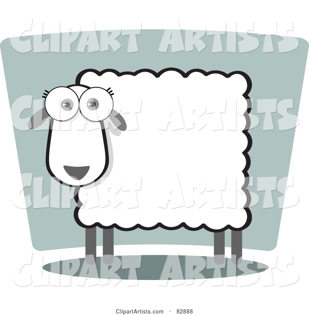 Female Sheep with a Square Body