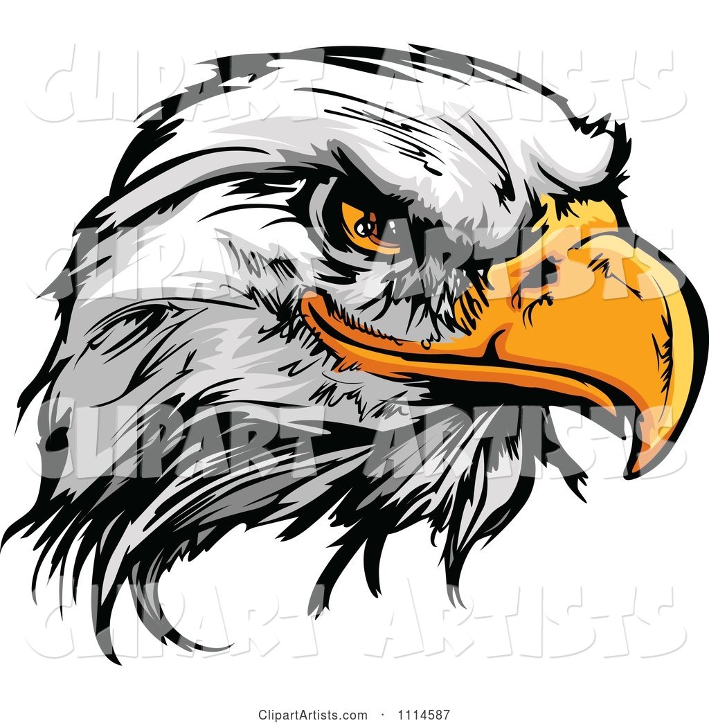 Fierce Bald Eagle Mascot Head