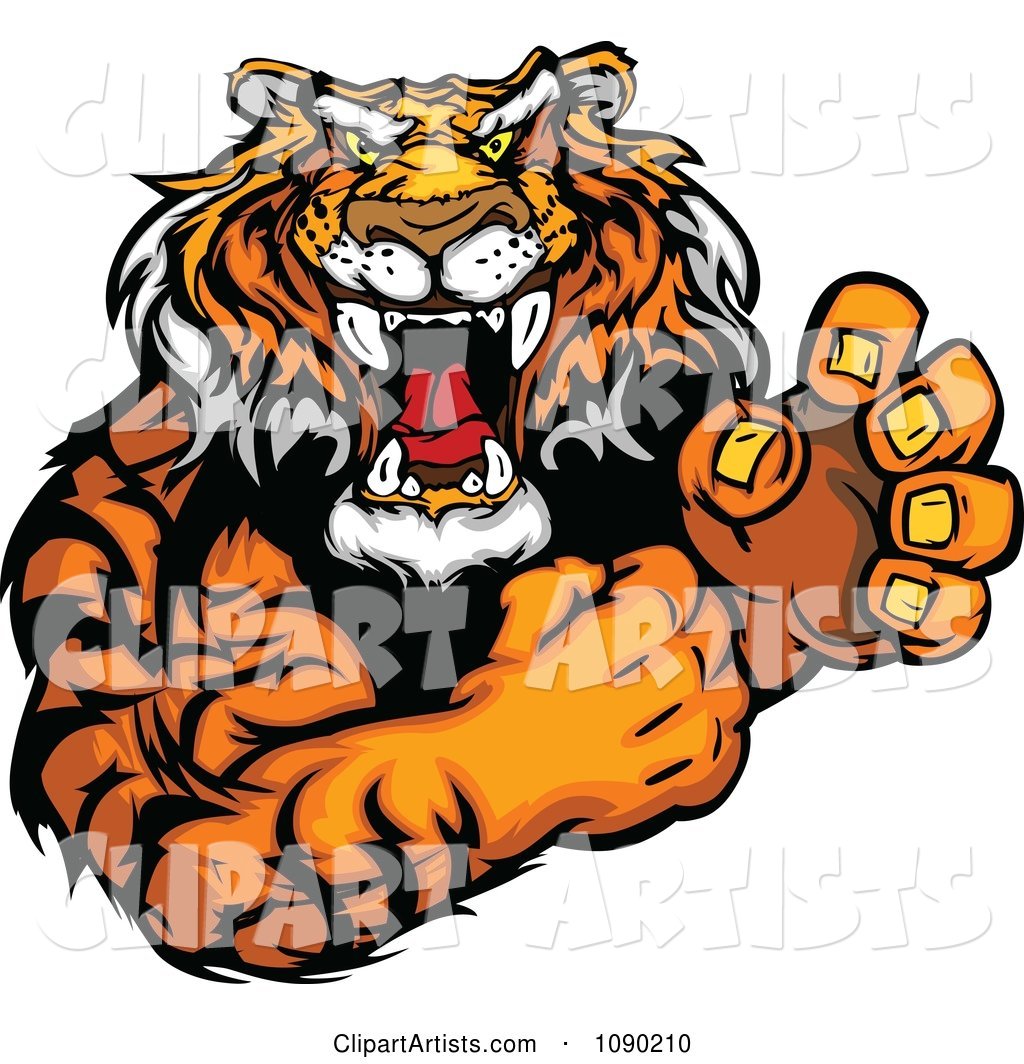 Fighting Tiger Mascot With Fists Clipart by Chromaco
