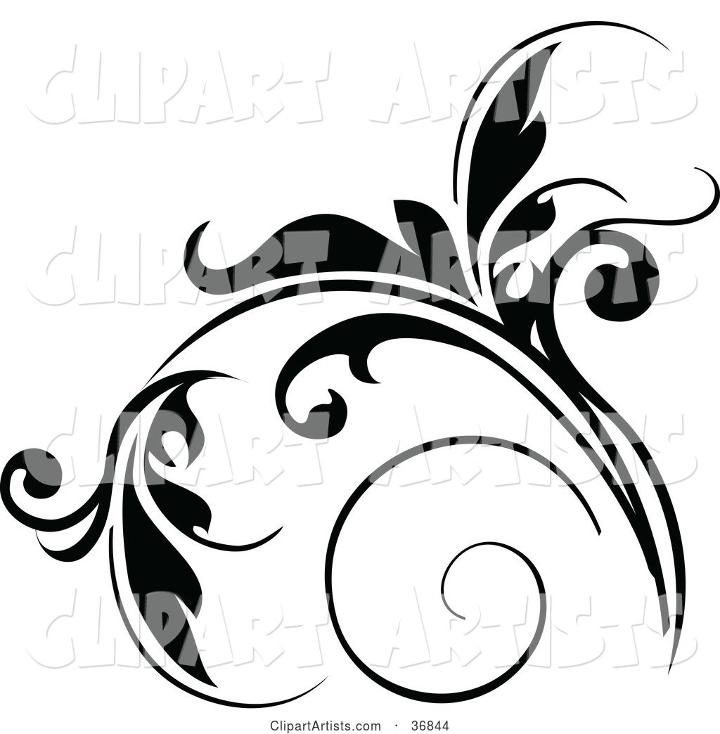Floral Design Element In Black, With Tendrils Clipart by OnFocusMedia