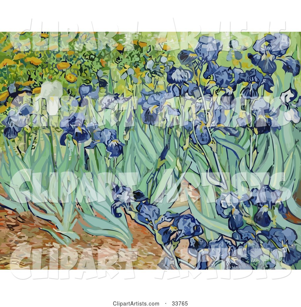 Flower Bed of Iris Flowers, Original by Vincent Van Gogh