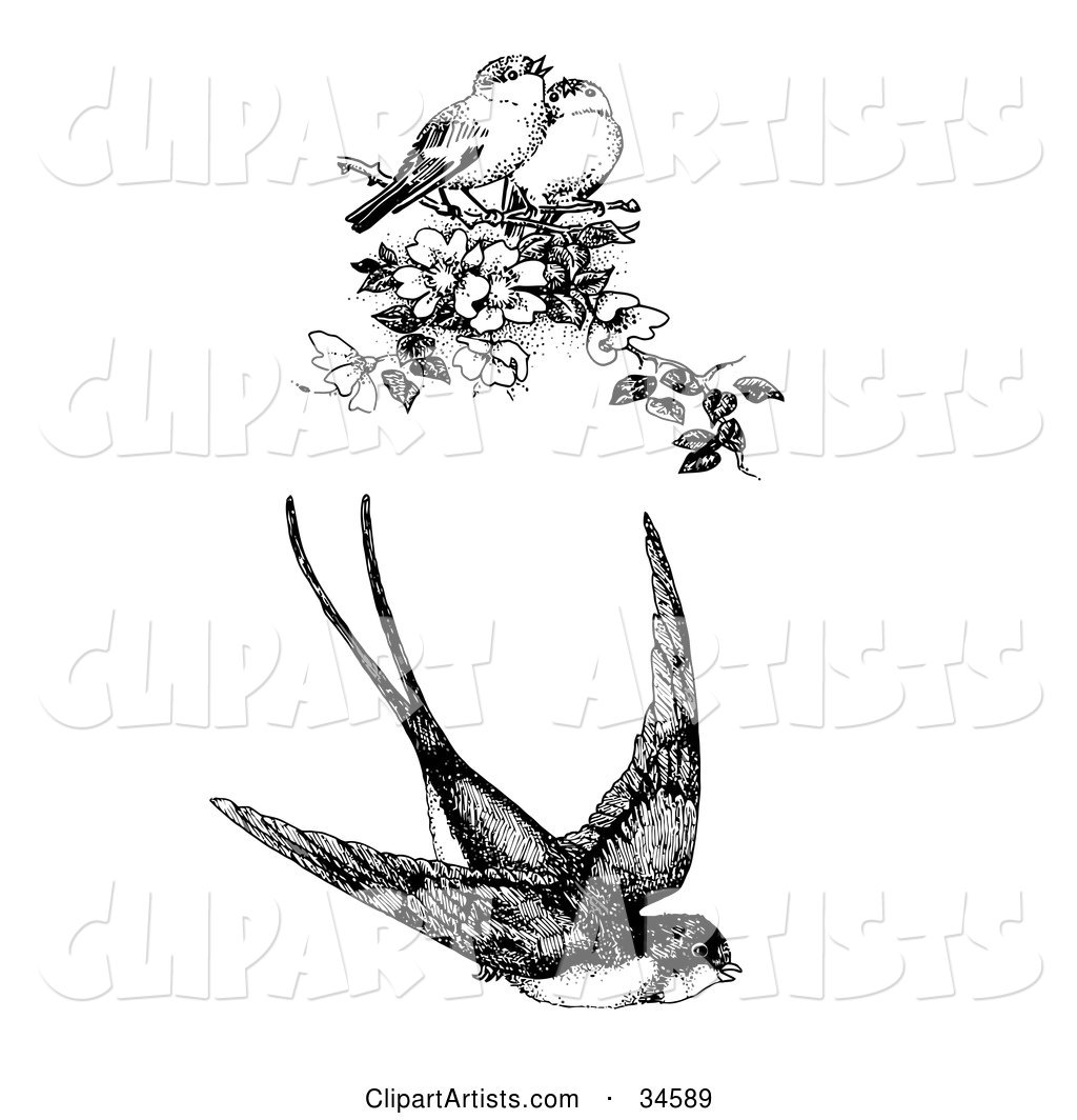 Flying Swallow and Two Singing Finches on a Blossoming Tree Branch