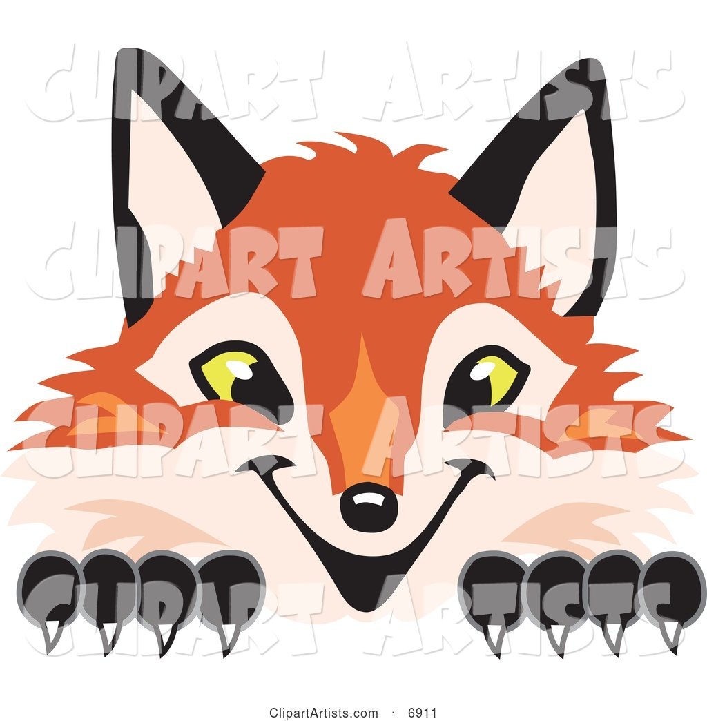 Fox Mascot Cartoon Character Peeking