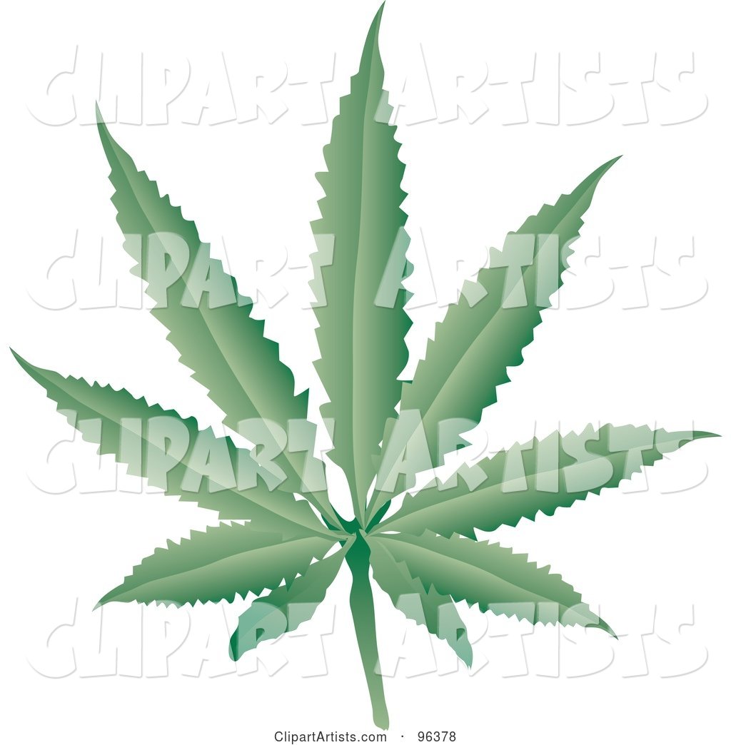 Fresh Green Cannabis Leaf
