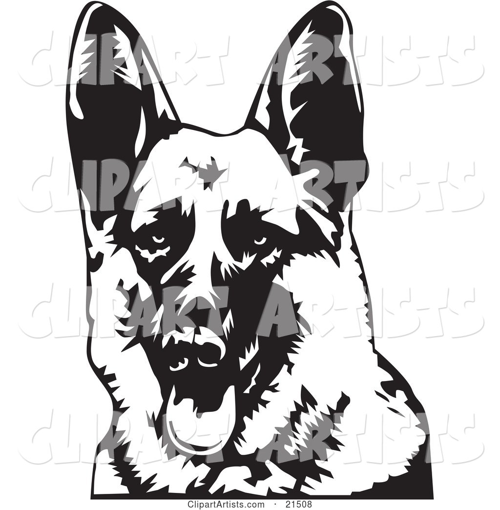 Friendly German Shepherd Dog Panting with His Tongue Hanging Out, Facing Front