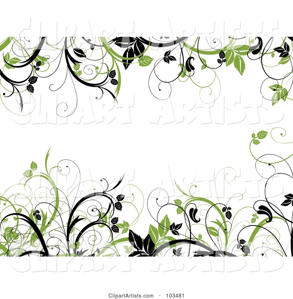 Green and Black Leafy Vines Framing a White Background