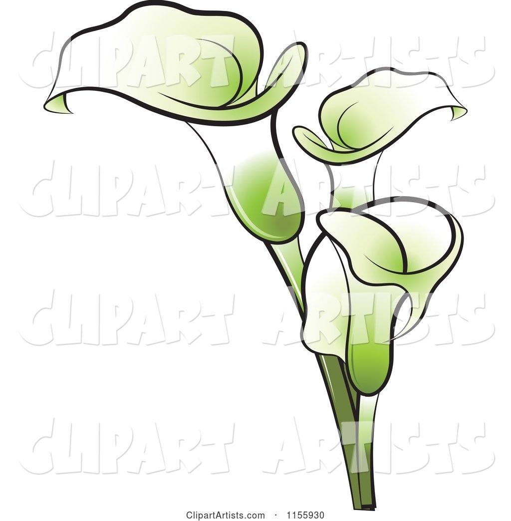 Каллы цветок с бантом рисунок