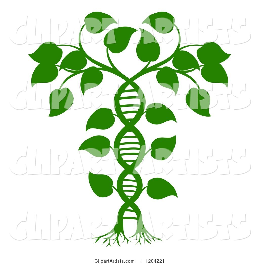 Green DNA Double Helix Plant