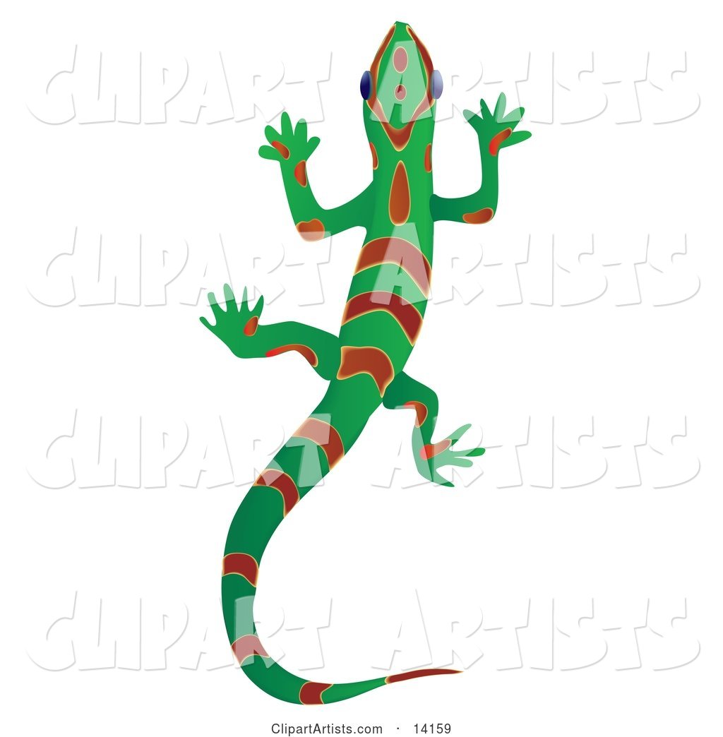 Green Gecko Lizard with Red Stripes and Patterns over a White Background