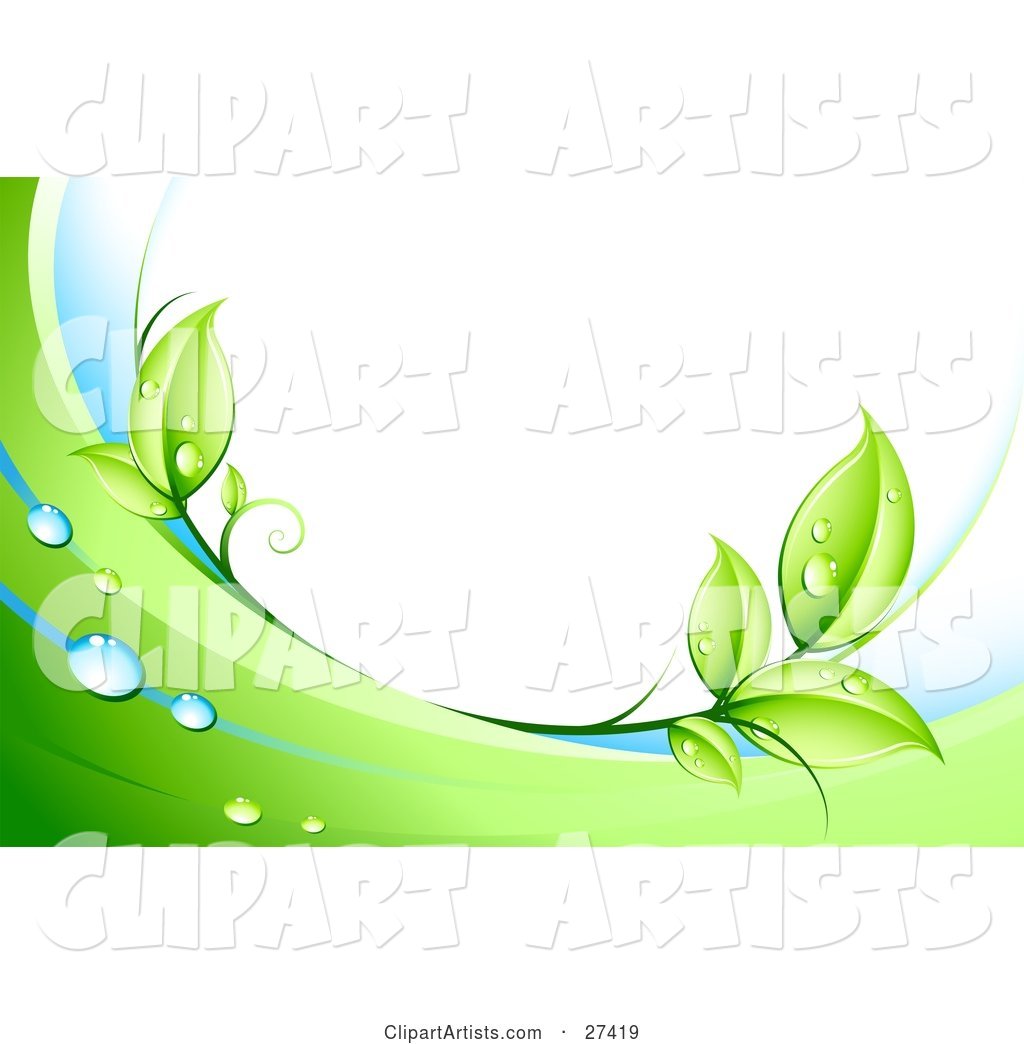 Green Leaves, Dew and Green and White Waves Bordering a White Background