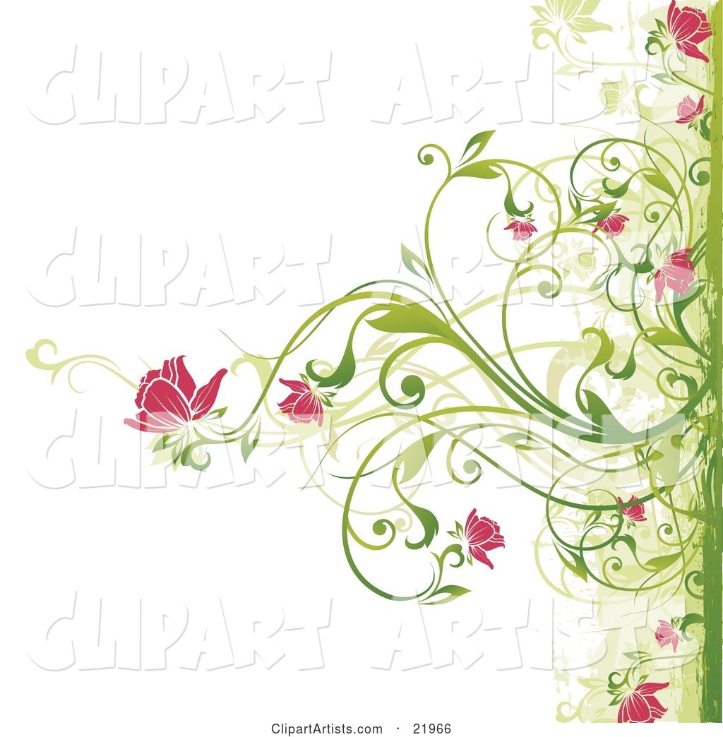 Green Plant Blooming Pink Flowers over a White Background