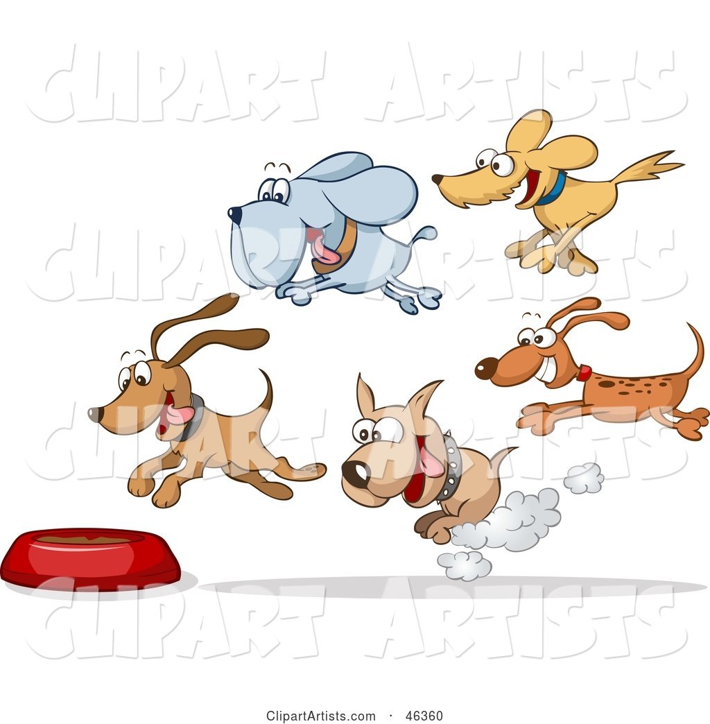 Group of Hungry Dogs Racing and Flying Towards a Food Bowl