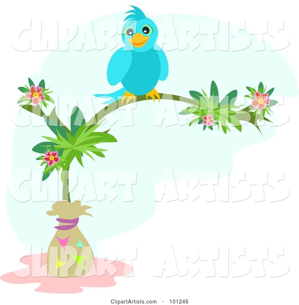 Happy Blue Bird Perched on a Tropical Flowering Tree