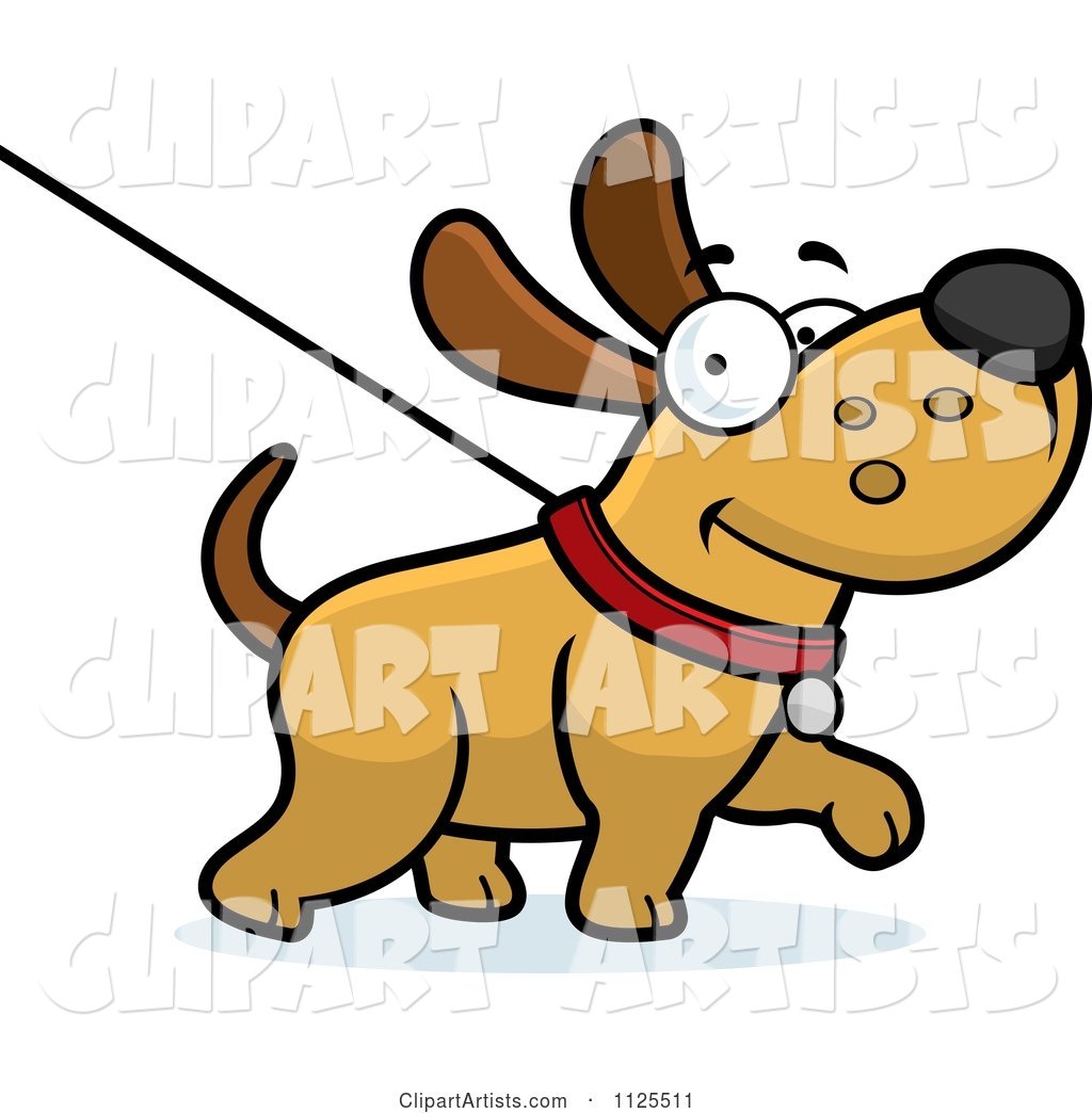 Happy Dog Being Washed on a Leash