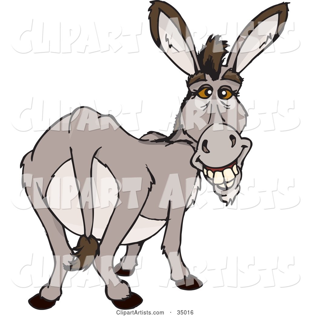 Happy Gray Donkey Looking Back
