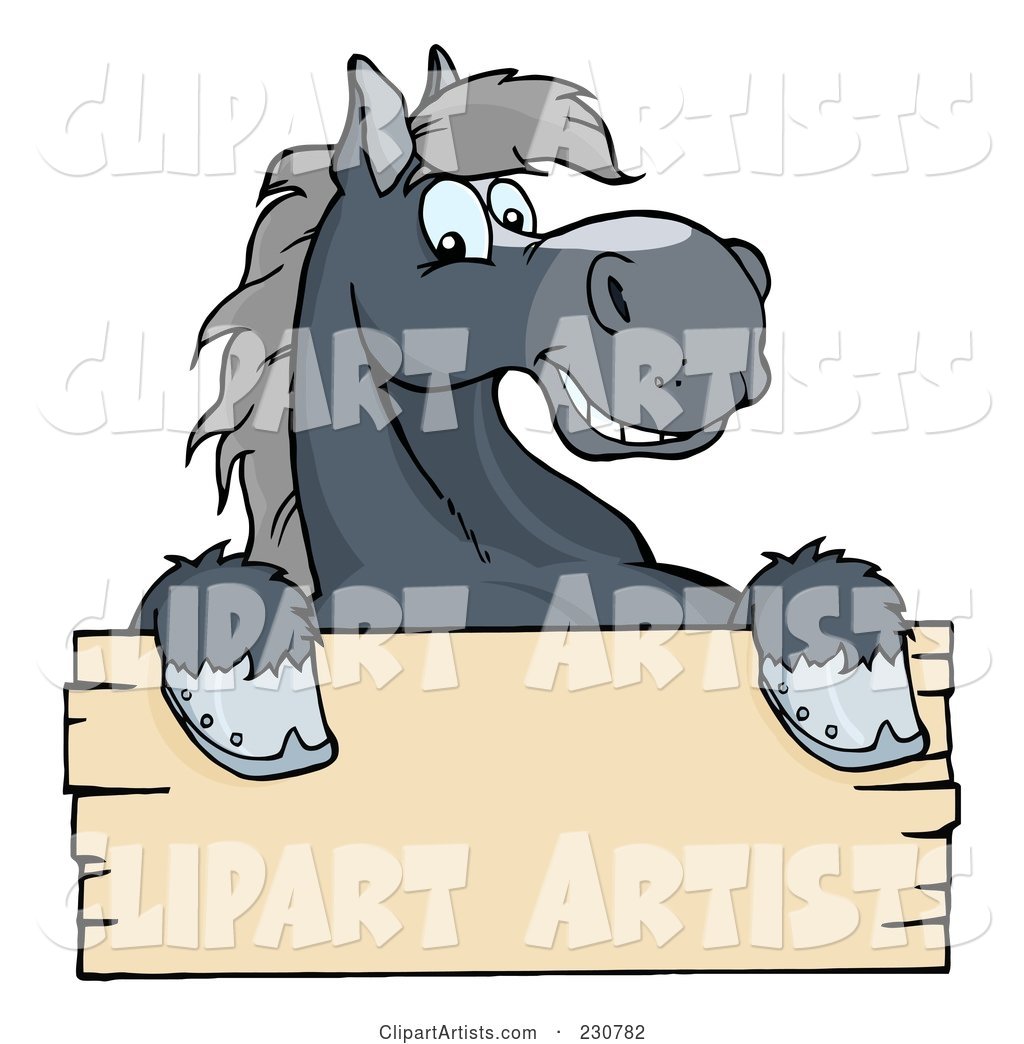 Happy Gray Horse Looking over a Blank Wood Sign