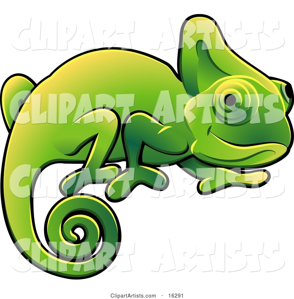 Happy Green Chameleon Lizard with a Curled Tail Clipart Illustration Image