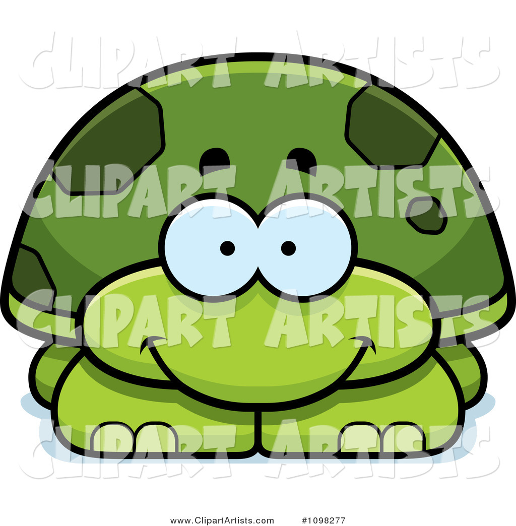 Happy Green Tortoise Turtle