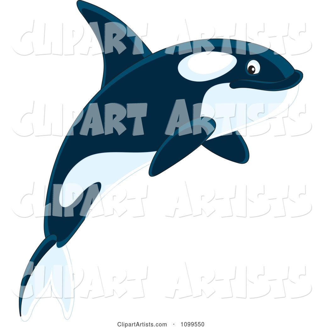 Happy Orca Killer Whale