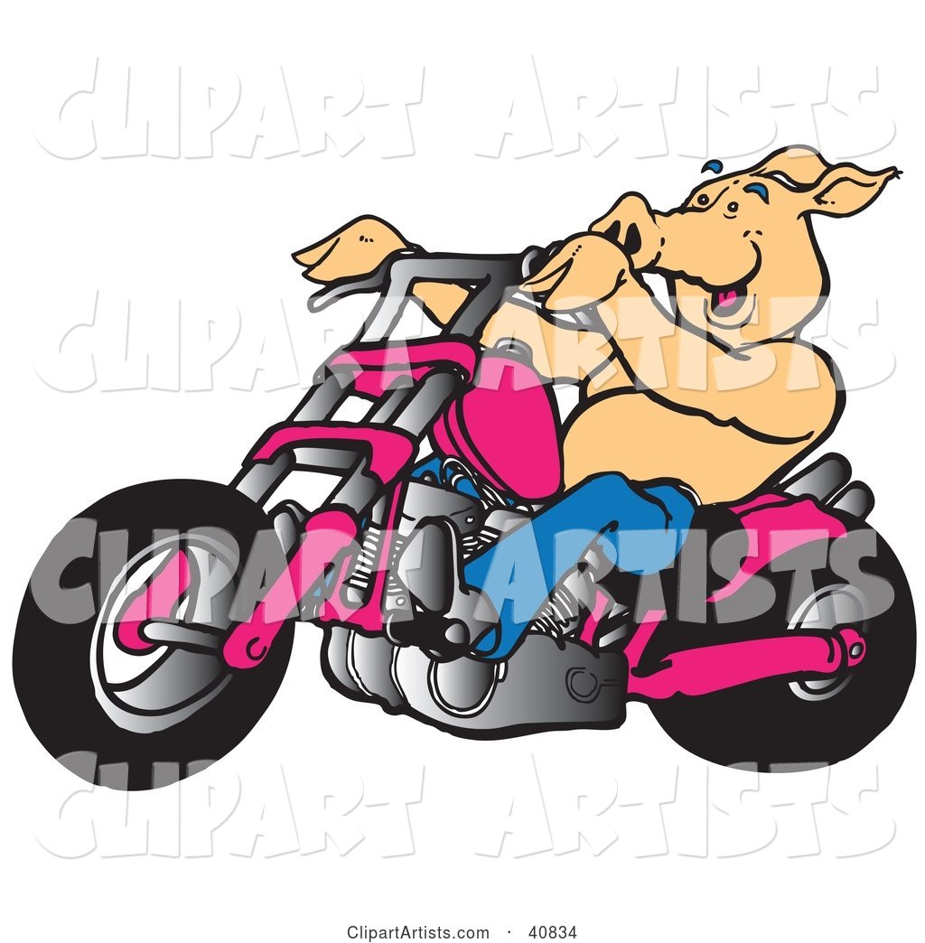 Happy Pig Riding a Pink Chopper