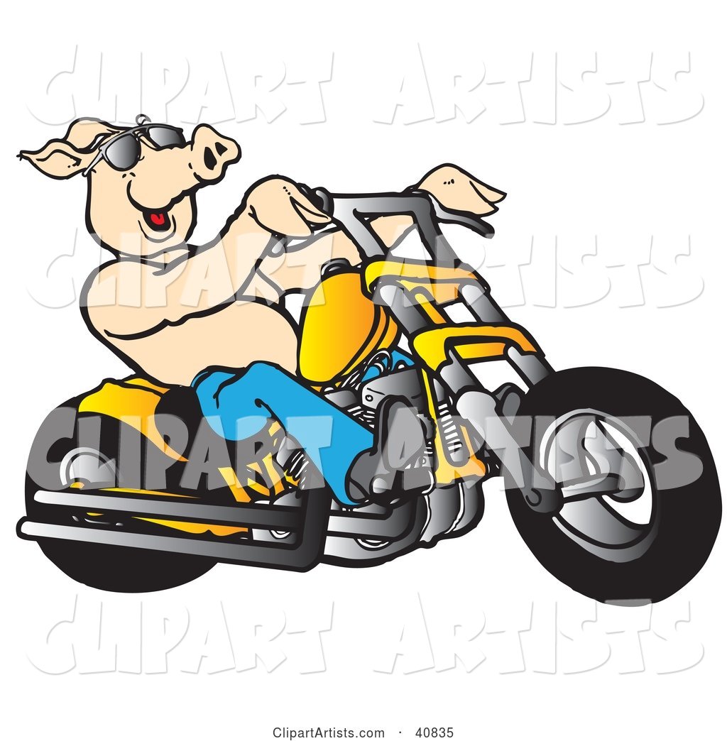 Happy Shirtless Pig in Shades, Riding a Yellow Chopper