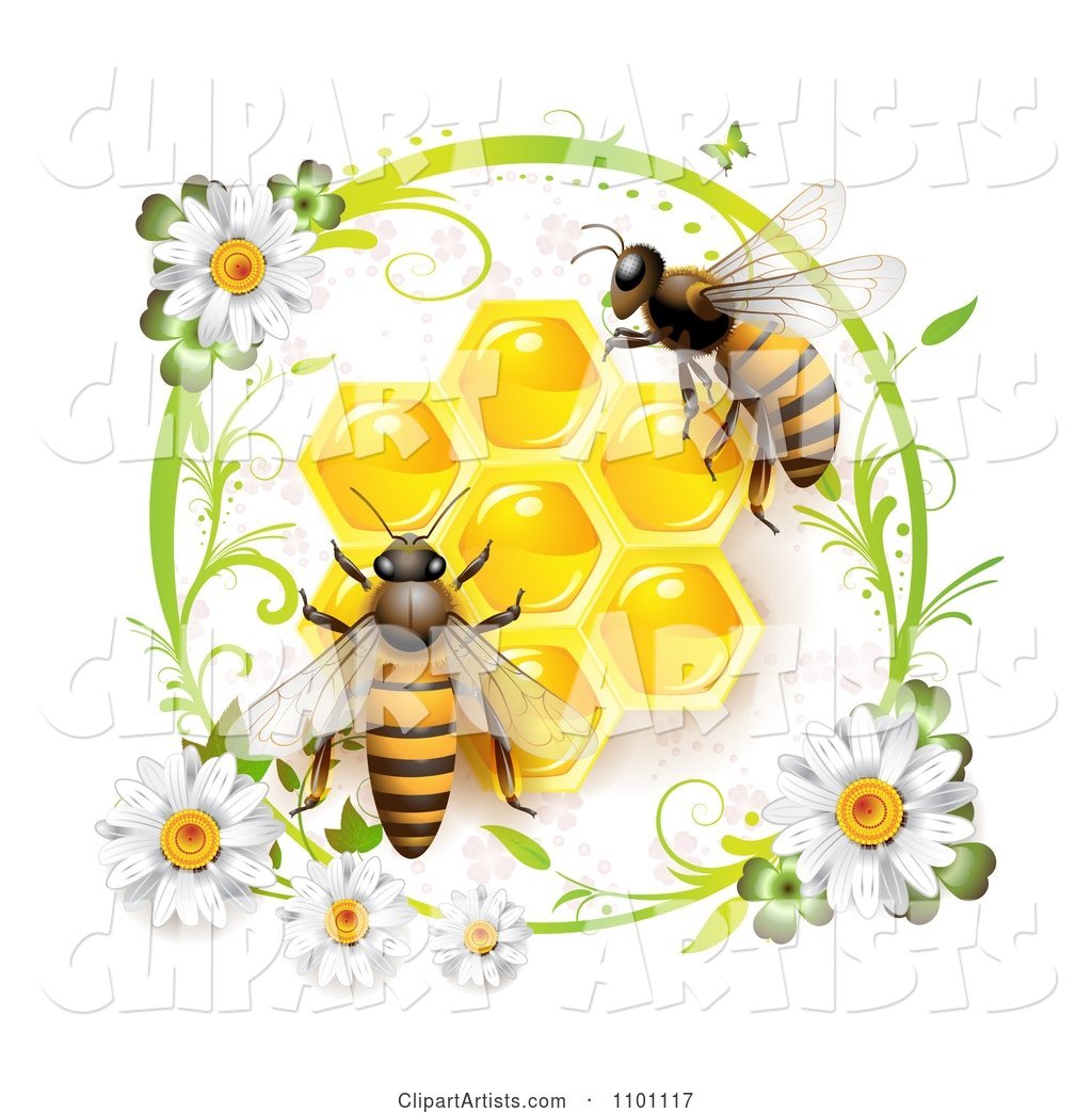 Honey Bees over Honeycombs in a Green Daisy Frame
