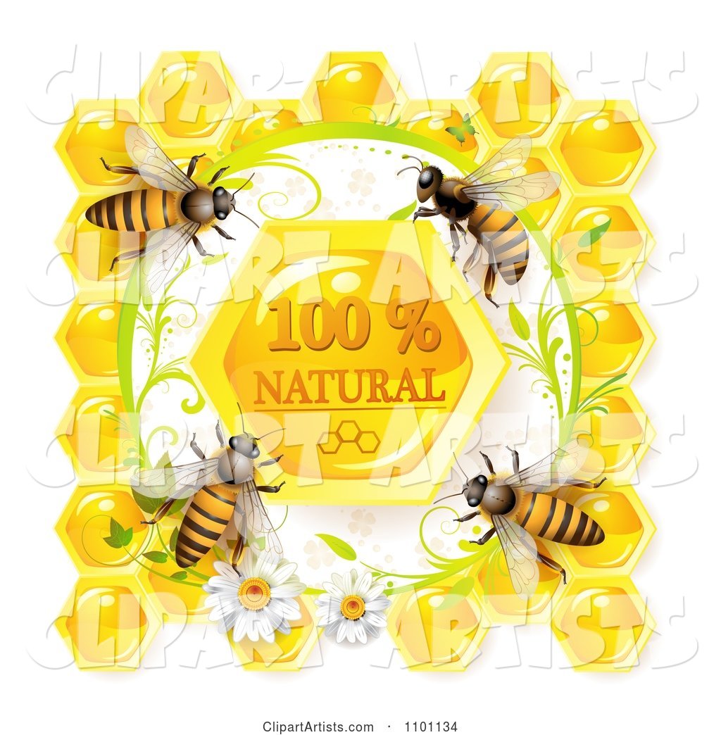 Honey Bees over Natural Honeycombs in a Daisy Frame
