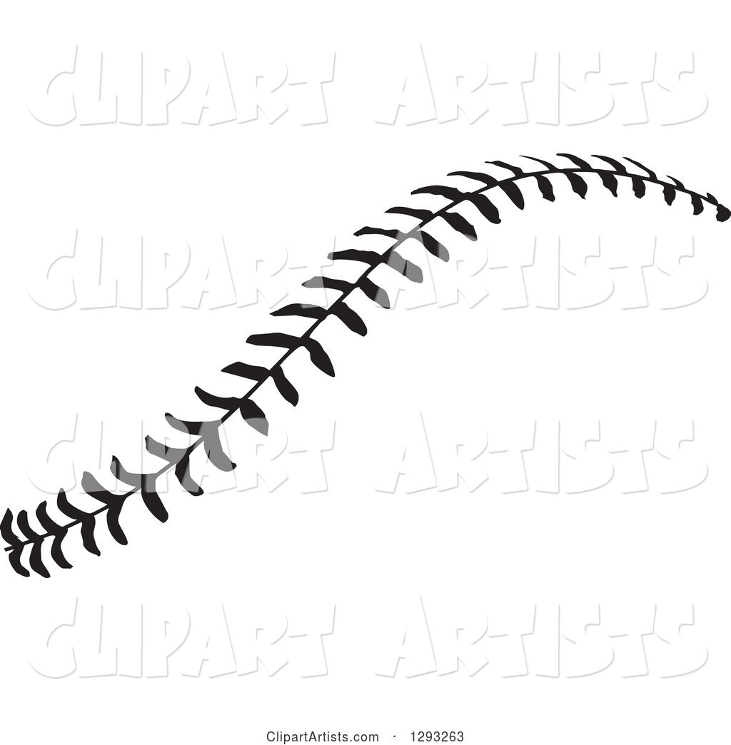 Horizontal Black and White Baseball Stitching