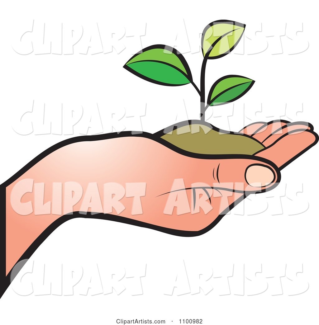 Human Hand Holding a Plant in Soil