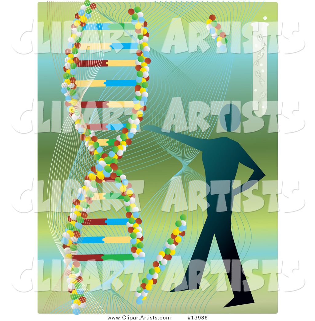 Human Silhouette and DNA Double Helixes